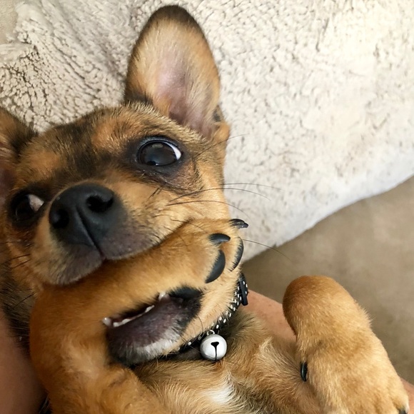 DJ - Picture 3 of 16